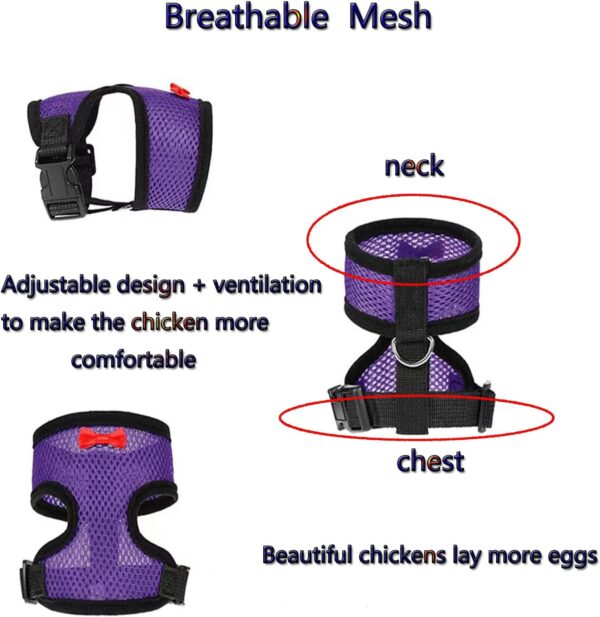 3 Pcs Adjustable Chicken Harness with Leash- Comfortable Hen Vest Breathable Mesh Chicken Training Harness and Leash for Duck Goose Hen - Image 2