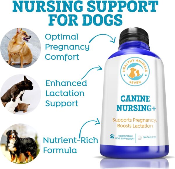 Healthy Animals 4Ever Supports Pregnancy, Boosts Lactation May Prevent Potential Pregnancy & Nursing Issues Safe, Caring, Natural Support Solution Fast Acting Formula Guarantee - Image 3