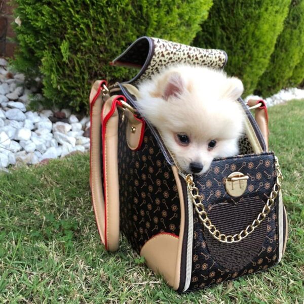 Adriene's Choice Luxury Pet Carrier, Puppy Small Dog Carrier, Cat Carrier Bag, Waterproof Premium PU Leather Carrying Handbag for Outdoor Travel Walking Hiking Shopping - Image 2