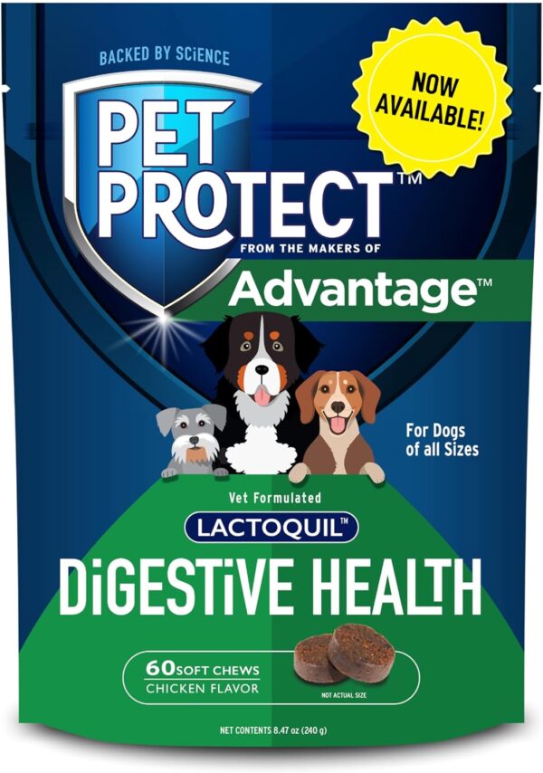 Pet Protect from The Makers of Advantage Vet-Formulated Dog Digestive Health Supplement | 60 Chews