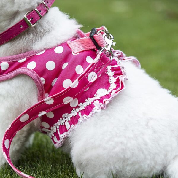 BARKLESS Cute Small Dog Harness, Ladies Polka Dots Dog Vest Harness Set with Pink Leash and Bowknot Collar, 3 in 1 Girl Style Vest Harness Set for Puppy and Cat (L (Chest: 14-18"), Pink) - Image 4