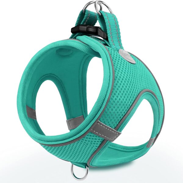 Joytale Small Dog Harness, Breathable Mesh Step-in Vest Harness, Reflective Soft Padded Harnesses Small Sized Dog for Walking, Teal, S