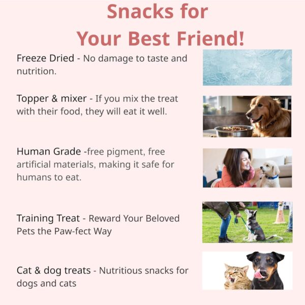 Pollack Fish Treats | Natural Freeze Dried Dog & Cat Treats | Training Treats for Dogs | Rich with Fish Oil for Dogs | All Breeds & Sizes - Image 4