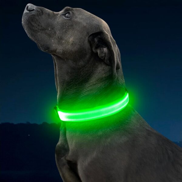 LED Dog Collar, USB Rechargeable Light Up Dog Collars, Adjustable Safety Dog Collar Light for Dogs Walking at Night (Green, Medium) - Image 6