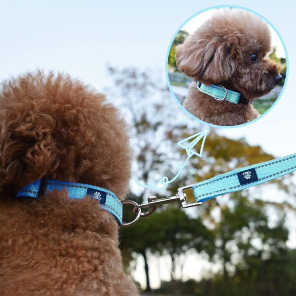 NESTROAD Reflective Dog Collar and Leash Set,Soft Neoprene Pet Collar with Quick Release Buckle,Adjustable Nylon Dog Collars for Small Medium Large Dogs(Medium Collar + 5FT Leash,Blue) - Image 2