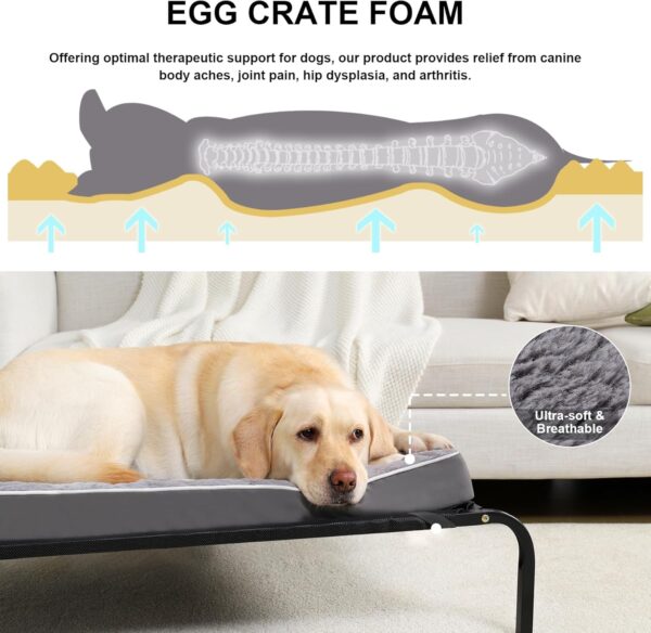 Orthopedic Dog Bed for Large Dogs, Egg Crate Foam with Removable Washable Cover, 36 x 27 inch, for Dogs up to 65 lbs - Image 3