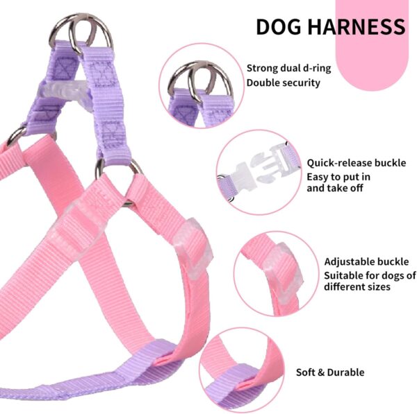 AIITLE Upgraded Dog Halter Harness Collar Leash Set - Durable Adjustable No Pull Dog Halter Harness - Comfortable Padded Handle - for Medium Breed Dogs Outdoor Running Pink-Purple M - Image 3