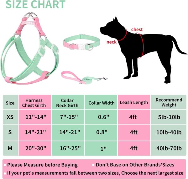 AIITLE Step in Dog Harness & Leash & Collar - Multicolor Lightweight Dog Halter Basic Collar with A 5FT Leash - for Extra Small Dogs Daily Walking and Training Green-Pink XS - Image 4