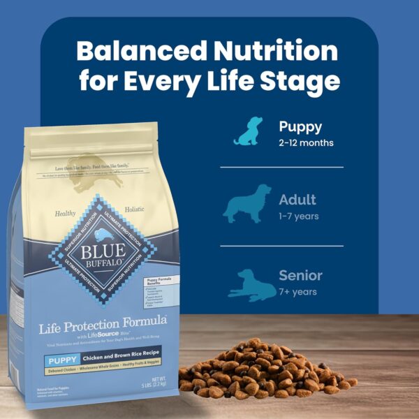 Blue Buffalo Life Protection Formula Puppy Dry Dog Food with DHA and ARA, Made with Natural Ingredients, Chicken & Brown Rice Recipe, 5-lb. Bag - Image 8