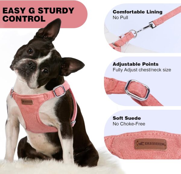 Dog Harness and Leash Set, S No Pull Adjustable Puppy Harness with Multifunction Red Dog Leash and Collar, Soft No Choke Escape Proof Pet Harness Vest for Small Dogs and Cats (Red, S) - Image 5