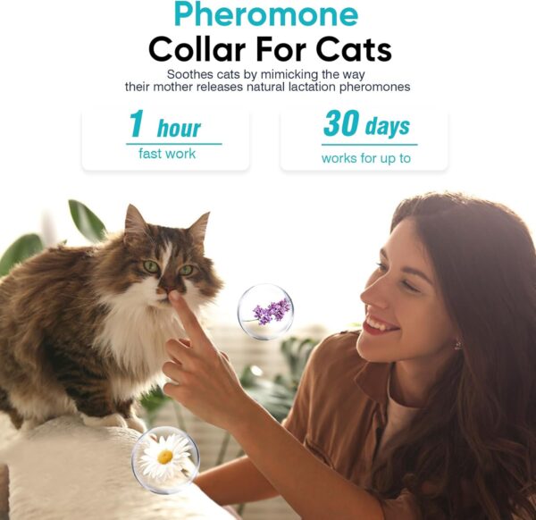 Calming Collar for Cats Cat Pheromone Calming Collar Stress and Anxiety Relief Lasts 30 Days Calm Collar Cat Adjustable Appeasing Calming Collar for Kitten Kitty Calm Collar Make Cat Relaxed 4 Pack - Image 3