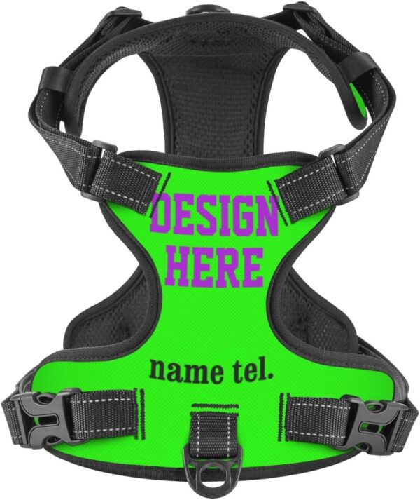 Design No Pull Reflective Dog Harness and Leash Set with Your Puppy Cat's Name Phone Number Custom Personalized Adjustable Pet Harness Dog Vest for Running Walking (Small)