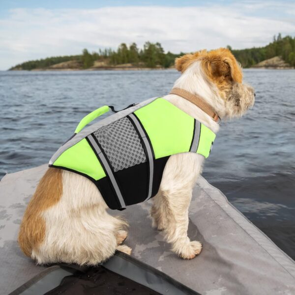 Queenmore Dog Life Jacket Small Float Vests for Swimming Boating Kayaking Mediumn Puppy Dogs Cats Neoprene Life Preserver Pet Water Lifesaver Lightweight Reflective Green,S - Image 5