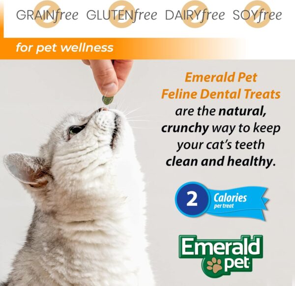 Feline Dental Treats — Tasty and Crunchy Cat Dental Treats Grain Free — Natural Dental Treats to Clean Cat Teeth, Freshen Cat Breath, and Reduce Plaque and Tartar Buildup — Salmon Treats, 3 oz - Image 6