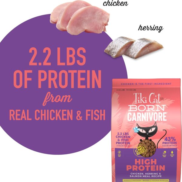 Tiki Cat Born Carnivore High Protein, Chicken, Herring & Salmon Meal, Grain-Free Baked Kibble to Maximize Nutrients, Dry Cat Food, 2.8 lbs. Bag - Image 7