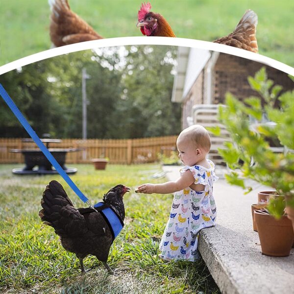 4Pcs Chicken Harness and Leash Set with Adjustable Upgrade and Improvement Breathable Comfortable Suitable for 2-9.5 Ib Chicken, Duck, Goose As Gifts for Festival.（Yellow Blue Green Pink） M - Image 6