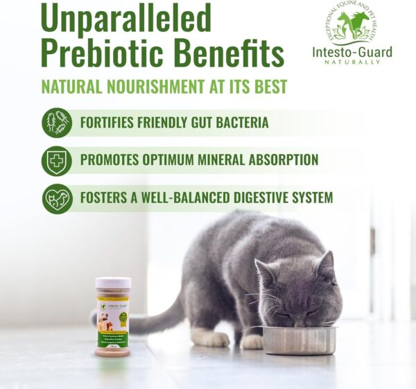 Powder Probiotics 90 Scoops​ for Dogs & Cats Bowel Digestive Immune Support Supports Gut Flora Nutrition Immunity 180G Bottle - 90 Scoops​ (Powder) - Image 3