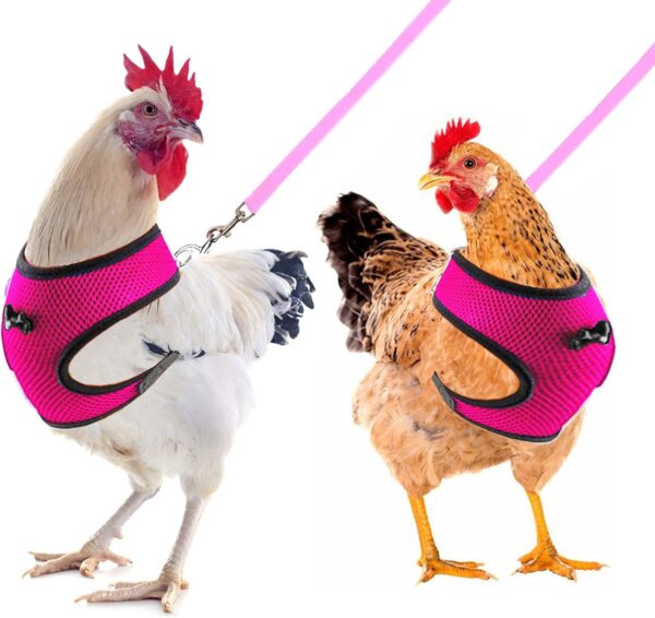 Chicken Harness and Leash, Modified Adjustable Breathable Harness Specially Designed for Rooster and Hens Duck Goose Training and Walking, Chicken Will Be Very Happy(2pcs) (Pink) M