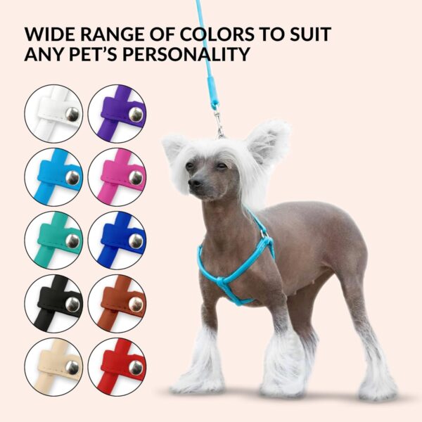 CollarDirect Rolled Leather Dog Harness Small Puppy Step-in Leash Set for Walking Pink Red White Blue Green Black Purple Beige Brown Yellow (Black, XS) - Image 6