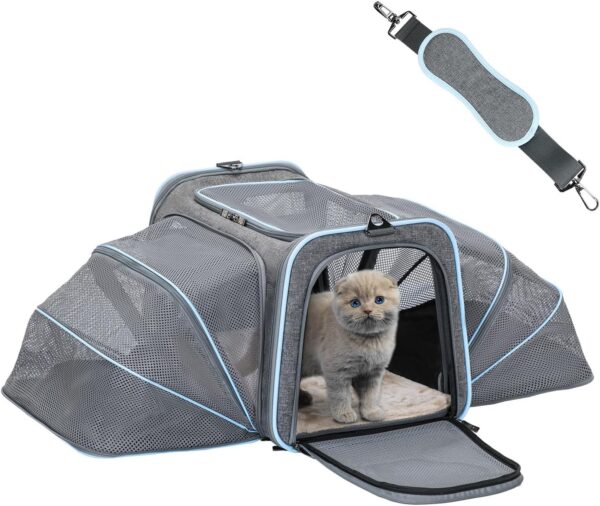 Petsfit Expandable Cat Carriers Airline Approved, 16"x10"x9" Small Dog Carrier Soft-Sided Portable Washable Pet Travel Carrier with Two Extension for Kitten,Rabbit, Puppy, Small Animal