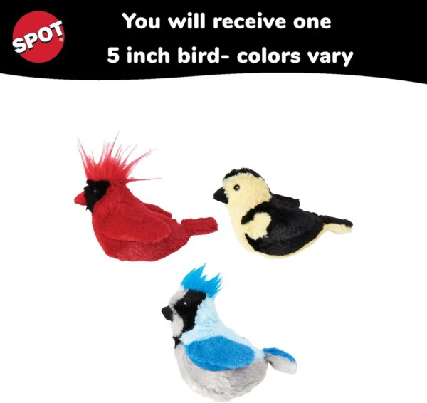 SPOT Song Birds Cat Toys - Touch Activated Singing Catnip Toy Mimics Real Bird Songs, Battery Operated Toy Satisfies Cat's Natural Urge to Hunt - One 5" Song Bird, Assorted Colors - Image 3