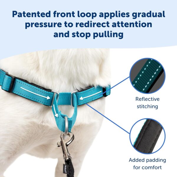 PetSafe Easy Walk Deluxe Dog Harness, No Pull Dog Harness – Perfect for Leash & Harness Training – Stops Pets from Pulling and Choking on Walks – Medium, Ocean - Image 3