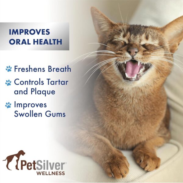 PetSilver Teeth & Gum Spray, Patented Chelated Silver, Dog Teeth Cleaning, Natural Dog Breath Freshener, Cat Teeth Cleaning Without Brushing, Dog Dental Spray, Made in The USA, 4 oz. - Image 2