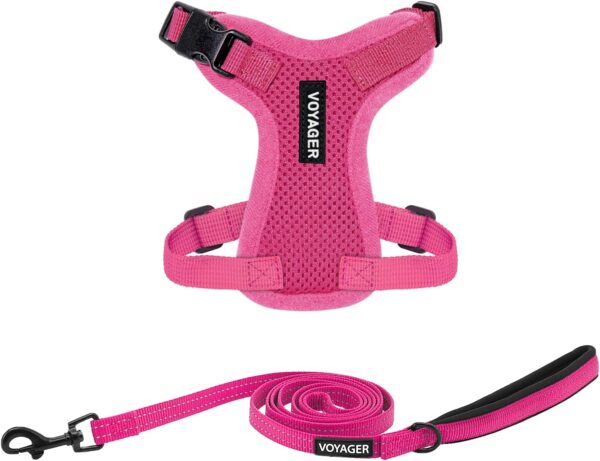 Voyager Step-in Lock Adjustable Cat Harness w. Cat Leash Combo Set with Neoprene Handle 5ft - Supports Small, Medium and Large Breed Cats by Best Pet Supplies - Fuchsia, XXS