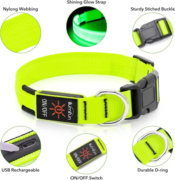 LED Dog Collar, USB Rechargeable Light Up Dog Collars, Adjustable Safety Dog Collar Light for Dogs Walking at Night (Green, Medium) - Image 4