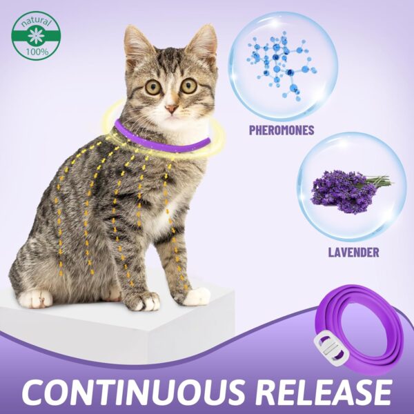 VICSOM Calming Collars for Cats, Cats Calming Collar, Pheromone Calm Collar for Cats, Waterproof Adjustable Natural Cat Calming Collars with 60 Days Anti Anxiety Relief Stress Effect, 4PCS Purple - Image 3