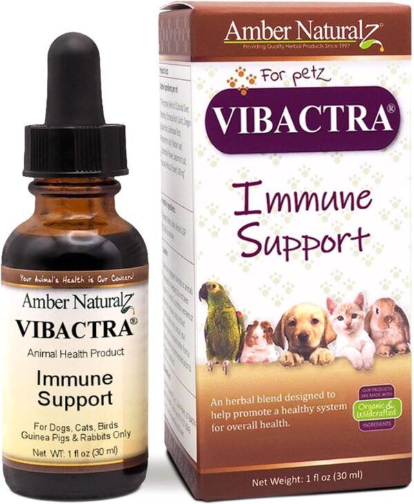 Amber NaturalZ Vibactra Immune Support Herbal Supplement for Dogs, Cats, Birds, Guinea Pigs, and Rabbits | Pet Herbal Blend for Overall Health | 1 Fluid Ounce Glass Bottle | Manufactured in The USA