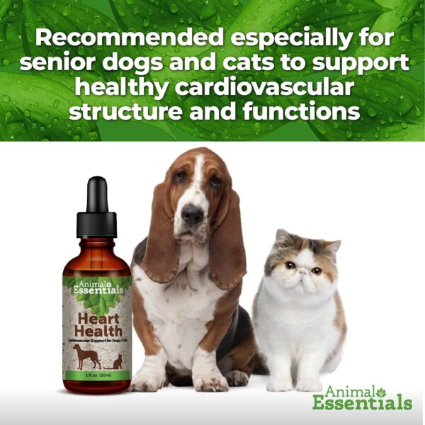 Animal Essentials Heart Health Cardio Strength for Dogs and Cats, 2 fl oz - Made in USA Organic Hawthorn Berries Alcohol Free - Image 8