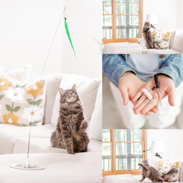 Cat Wand Toys for Indoor Cats Cat Toys for Bored Indoor Adult Cats Feather Toy Suction Cup Cat Toy Cat Bird Toy Interactive Bird Simulation Cat Floor Suction Cup Cat Toy for Indoor Cats - Image 9