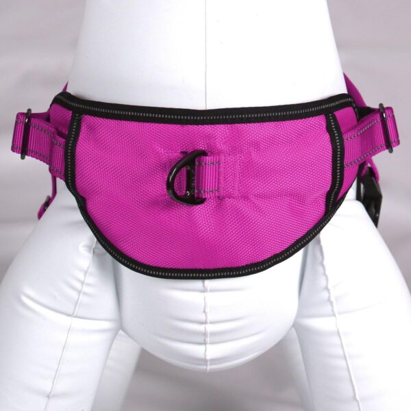 Max and Neo Passport Reflective Dog Harness - We Donate a Harness to a Dog Rescue for Every Harness Sold (MEDIUM, PINK) - Image 2