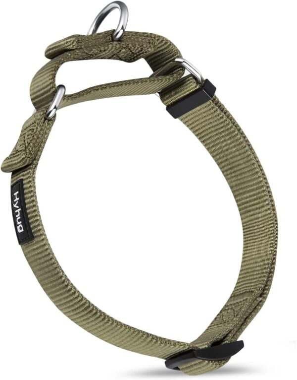 Premium Upgraded Durable Nylon Anti-escape Martingale Dog Collar for Medium Boy and Girl Dogs Comfy and Safe - Walking, Professional Training, Daily Use. (Medium, Military Green)