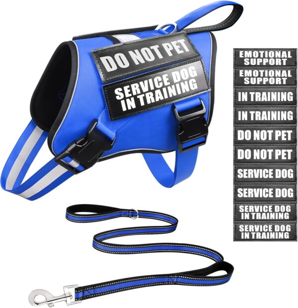 Service Dog Vest Harness and Leash Set+10 Patches,No Pull&Easy Walk Reflective Dog Harness with Soft Padded Handle for Training/Everyday,Fit Small/Medium/Large/Extra-Large Dogs (Blue M)