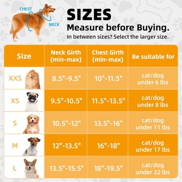 Small Dog Harness with Leash: Adjustable Puppy Harness - Soft Pet Harness for Dogs Walking Running (XS,Orange) - Image 6