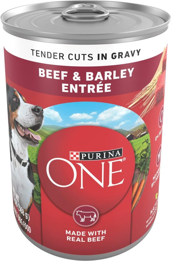 Purina ONE Tender Cuts in Gravy Beef and Barley Entree in Wet Dog Food Gravy - (Pack of 12) 13 oz. Cans