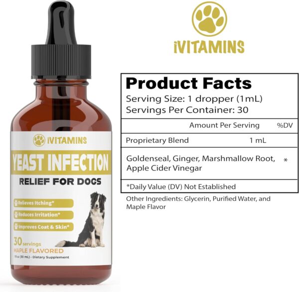 Natural Yeast Infection Treatment for Dogs | Helps to Support Itch Relief, Inflammation Relief & More | Dog Ear Infection Treatment | Dog Itch Relief | Dog Yeast Ear Infection Treatment | Maple Flavor - Image 2