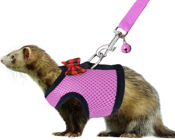 Rypet Small Animal Harness and Leash - Soft Mesh Small Pet Harness with Safe Bell, No Pull Comfort Padded Vest for Small Pet Pink S