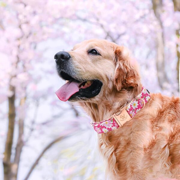 Elegant little tail Dog Collar, Pink Floral Pattern Pet Collar Durable Cute Dog Collars Summer Female Pet Gift Adjustable Dog Collar for Medium Dogs - Image 5