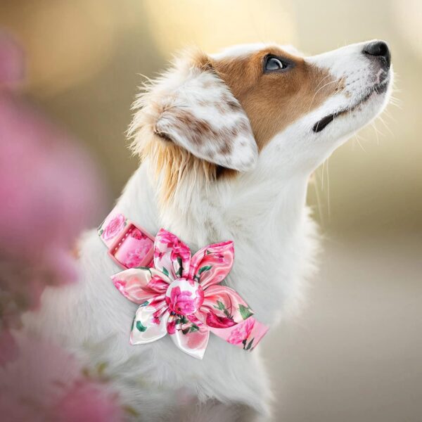 Dog Collar Floral Girl Pink Dog Collar with Rose Flower Bow Tie Dog Collar for Cute Female Cats Dogs Spring Summer Season Dog Collar for Small Medium Large Dogs for Your Furbaby - Image 2