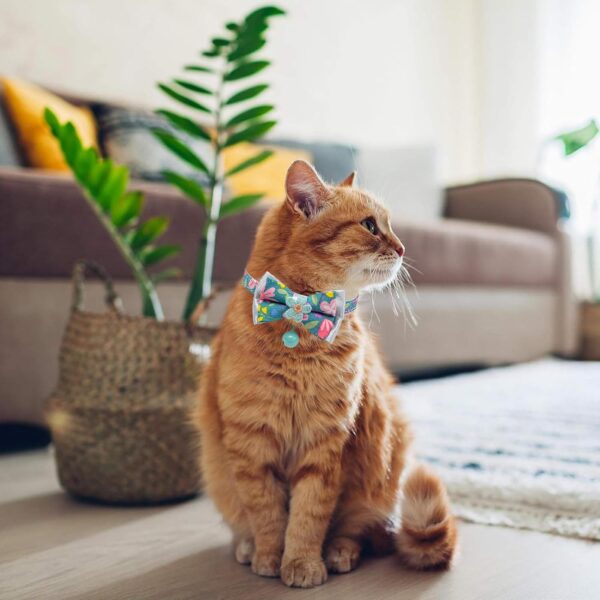 Cat Collars,HYQHYX Floral Bow Collar with Bell, Removable Cat Collar with Tie, Cute cat Collar for Cats and Puppies - Image 4