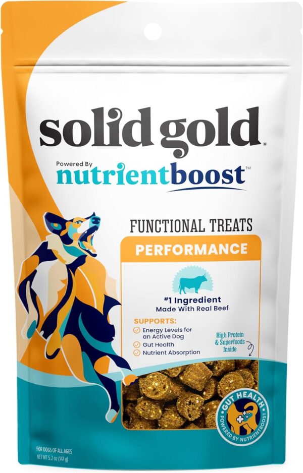 Solid Gold Healthy Dog Treats - Functional Dog Treats for Training + Performance - Beef Dog Treat with Salmon Oil & Superfoods Healthy Training Treats for Dogs - 5.2 oz