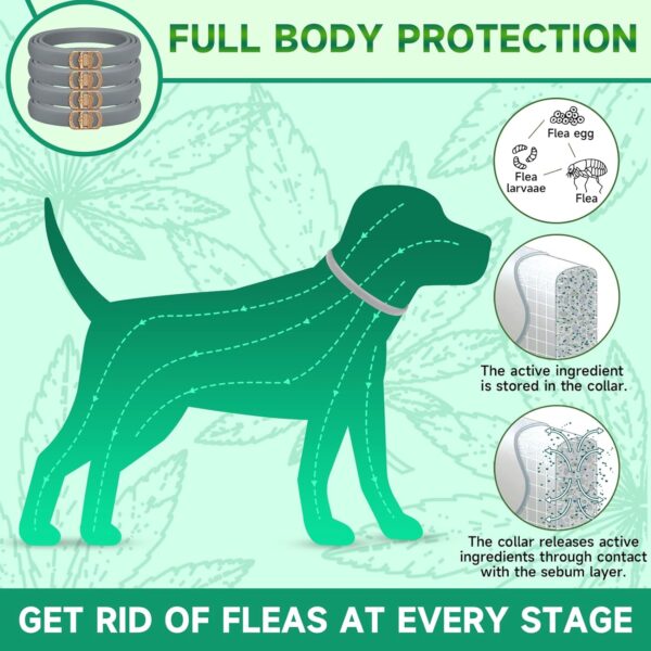 4 Pack Flea Collar for Dogs, Dog Flea and Tick Treatment, 8 Months Protection Flea and Tick Collar for Dogs, Waterproof Dog Flea Collar, Adjustable Collar Flea and Tick Prevention for Dogs - Image 4