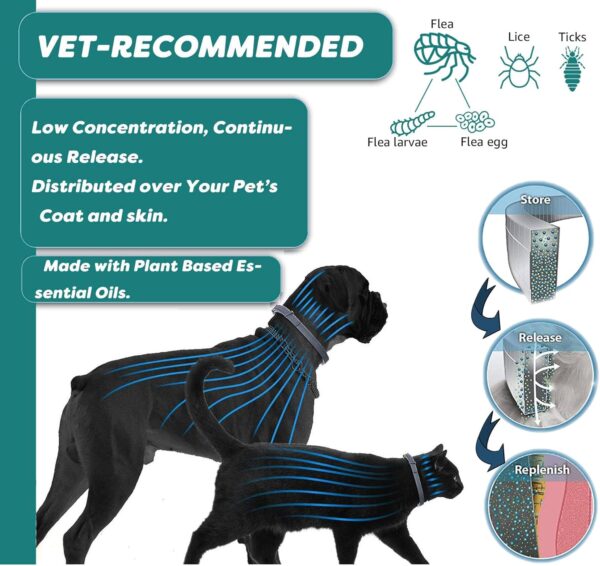 Natural Flea and Tick Collar for Puppies - 12-Month Protection, Safe Pest Control - Waterproof, Strong - Free Flea Comb and Tick Tweezer Included - 2-Pack, 13.8 Inches - Image 3