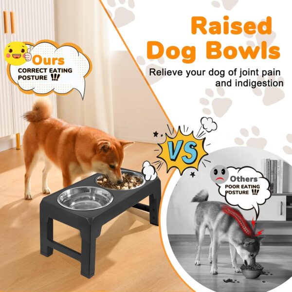 URPOWER Elevated Dog Bowls 4 Height Adjustable Raised Dog Bowl with 2 Stainless Steel Dog Food Bowls Non-Slip Dog Bowl Stand Adjusts to 3.2”, 8.7”, 10.2”, 11.8” for Small Medium Large Dogs and Pets - Image 3