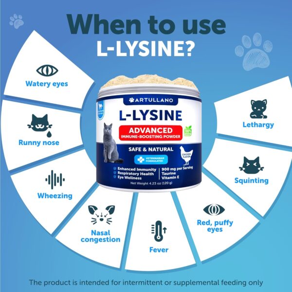 Lysine for Cats - L-Lysine Powder for Cats - Immune Support for Cats Sneezing and Runny Nose, Cat Cold, Eye Function, Respiratory Health - Allergy Relief - Lysine Supplement for Cats - Image 3