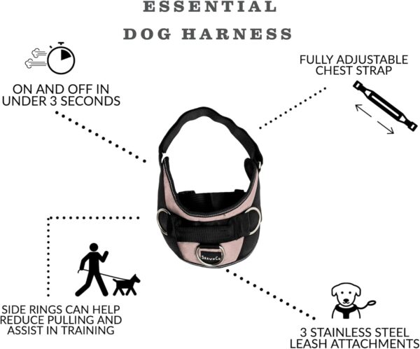 ShawnCo Essential Harness, Leash & Collar Set (Rose Gold, S) - Image 4