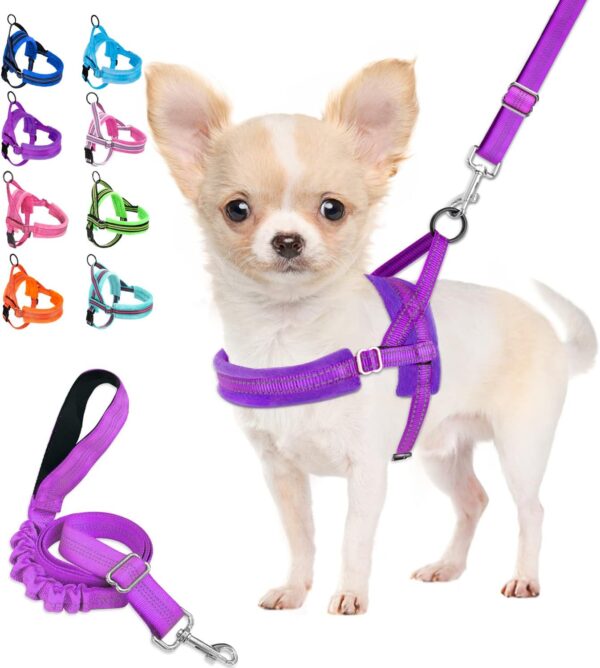 Lukovee Dog Harness and Leash Set, Soft Padded Small Dog Harness, Neck & Chest Adjustable Reflective Vest Puppy Harness with 4ft Lightweight Anti-Twist Dog Leash for Small Dogs (Small, Purple)